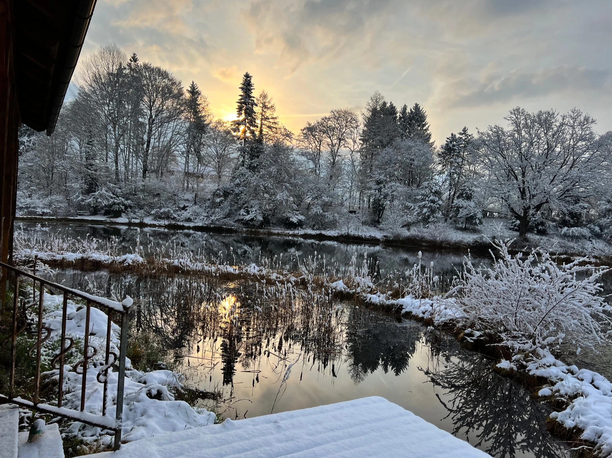 Winterliches Morgenlicht über dem verschneiten Teich